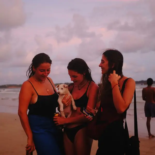 Three guests on the beach at dusk, one holding a puppy